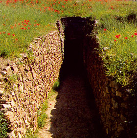 Populonia